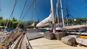 Dear-Lila-08192023_014228