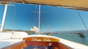 Dear-Lila-08192023_014405