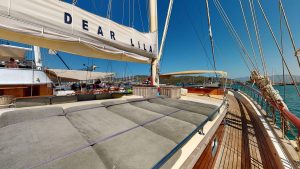 Dear-Lila-08192023_014239