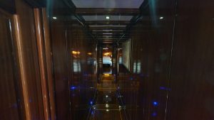 Dear-Lila-08192023_014747