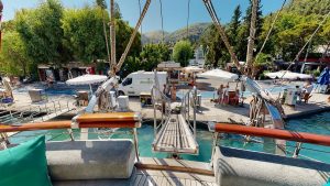 Dear-Lila-08192023_015007